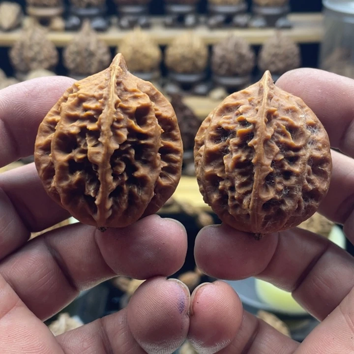 桃核把件福利核桃40