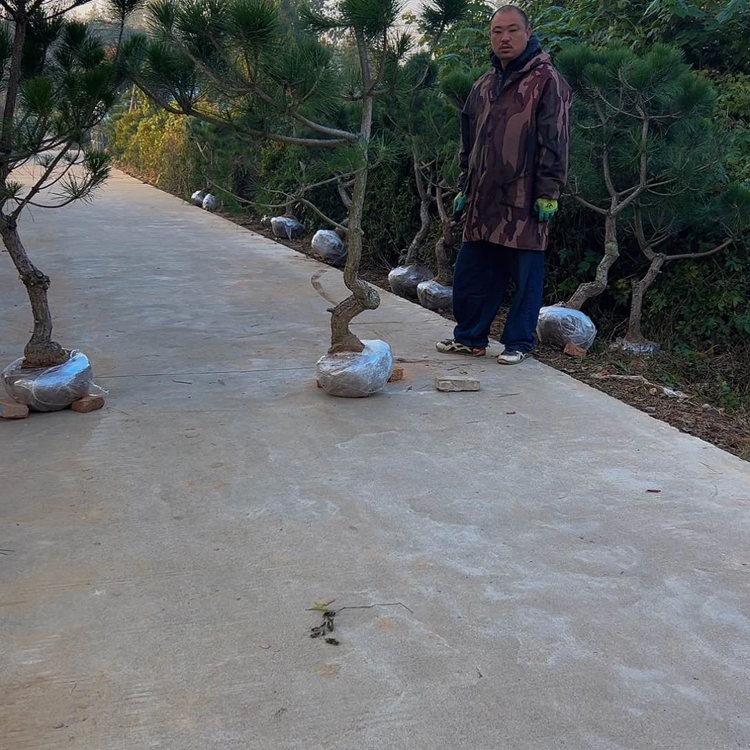 无花朵一**子8888888888888