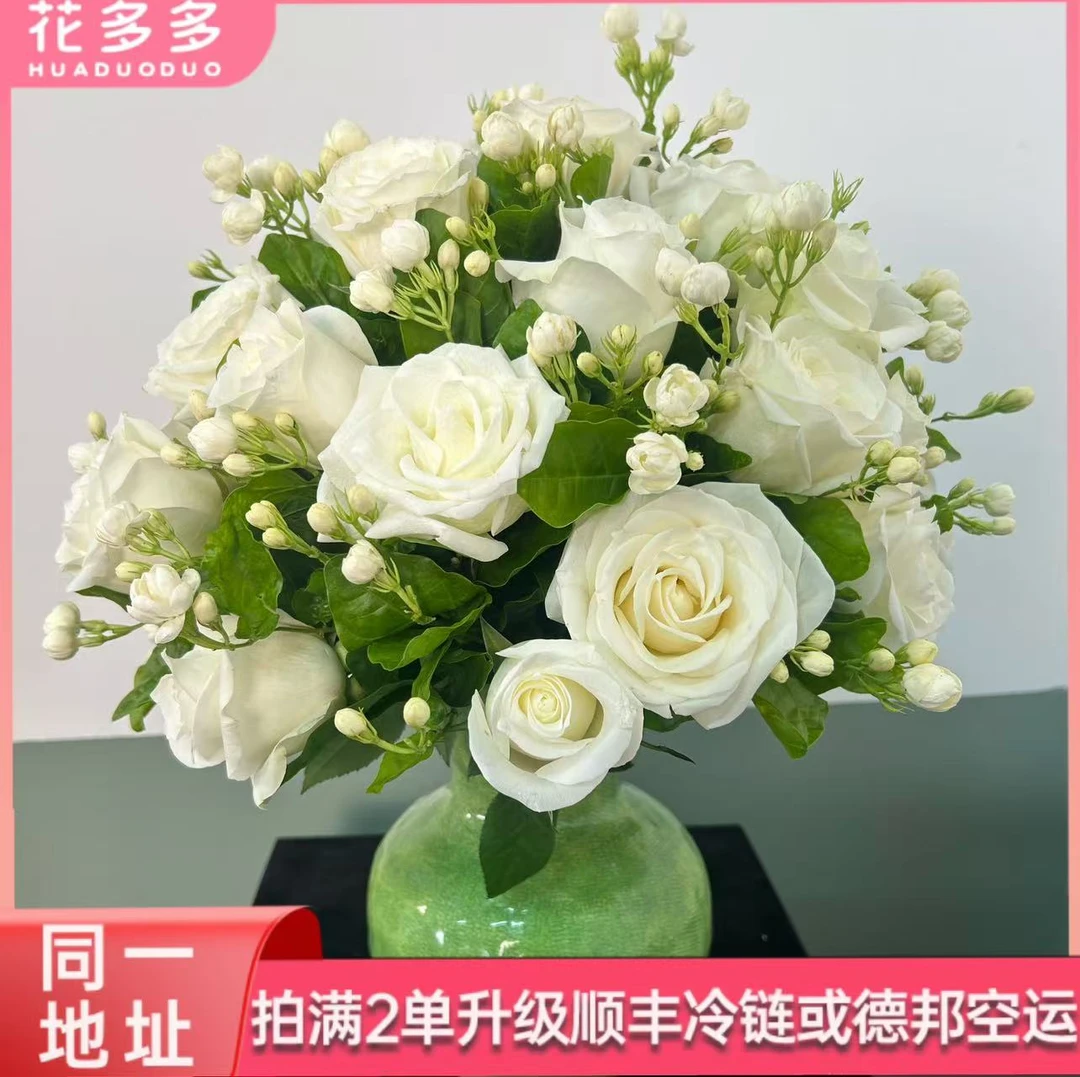 【纯洁无暇】茉莉+白玫瑰同一地址拍满2单升级顺丰冷链三单安排花瓶