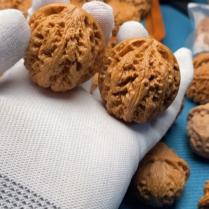 粗筋41尺已打底8888