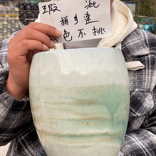 瑕疵颜色不挑瑕疵