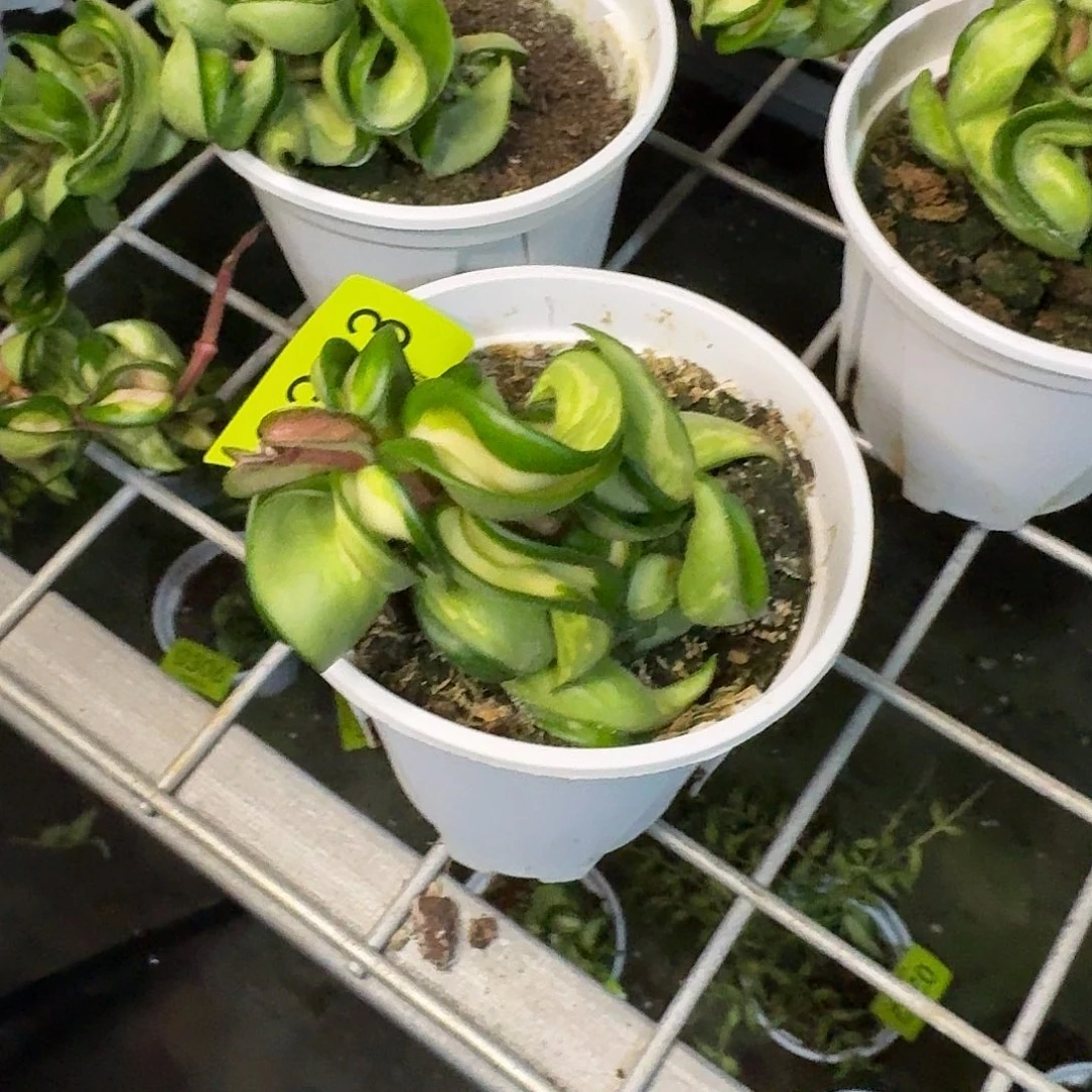 已***手完全开放0313卷内