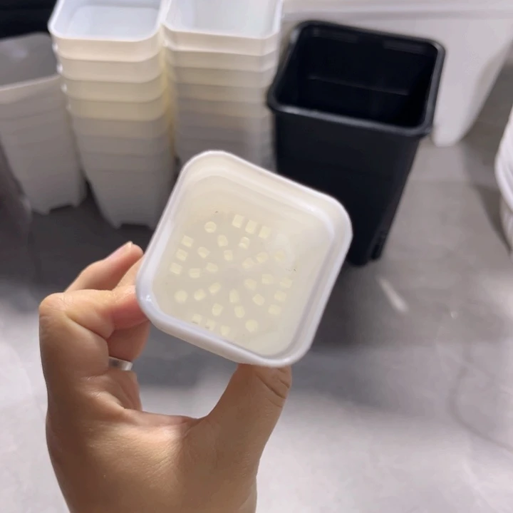 白方口4高4一组50个