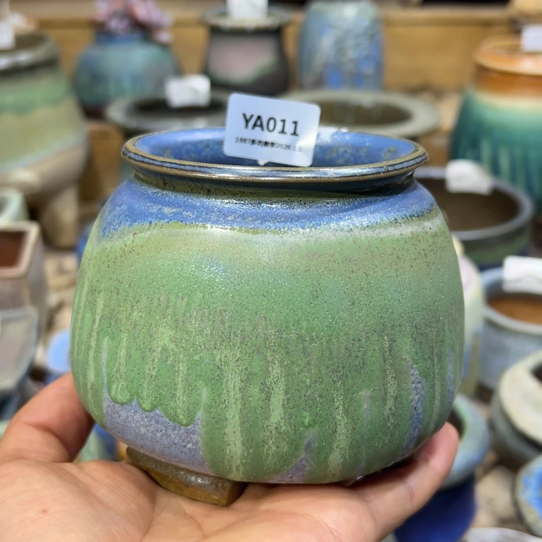 ya11青山依旧蜂蜜罐