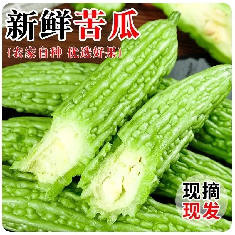 【新鲜现摘】苦瓜当季农家自种蔬菜凉瓜生鲜瓜绿苦瓜清苦脆嫩3斤5斤苦瓜同城送苦瓜