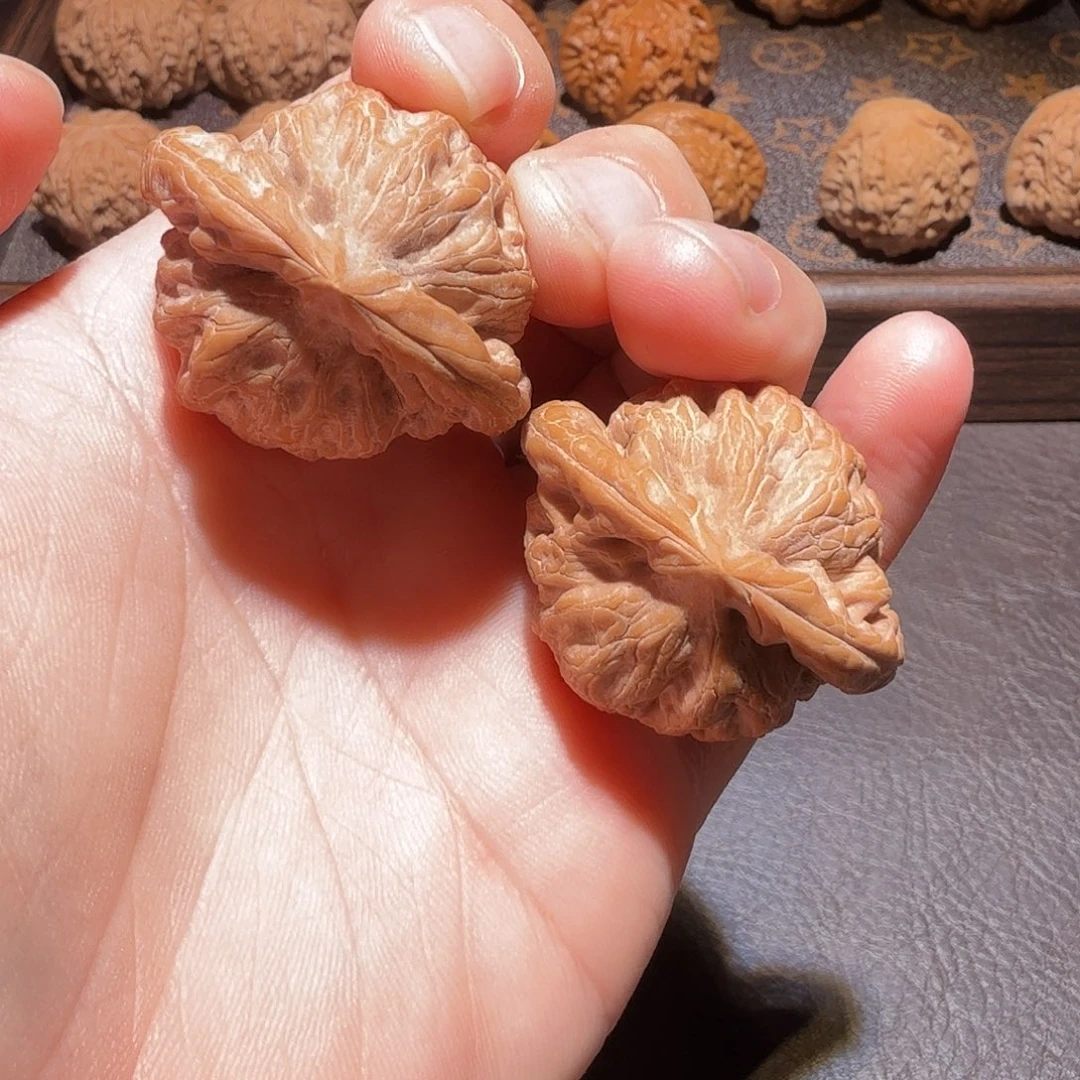 核桃38粗棱金公子货头对