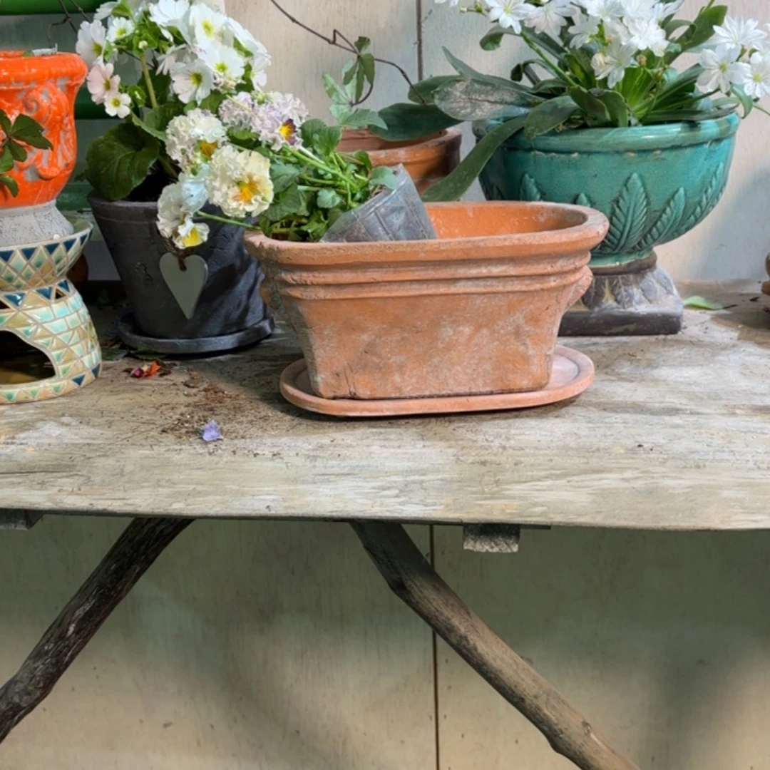 许纯的花房 椭圆一套