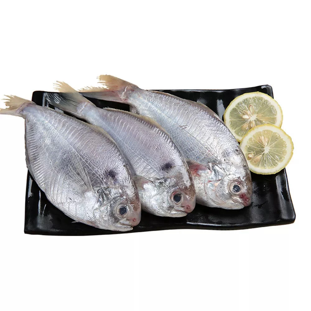 汕尾特产老德头-风味南鲳鱼