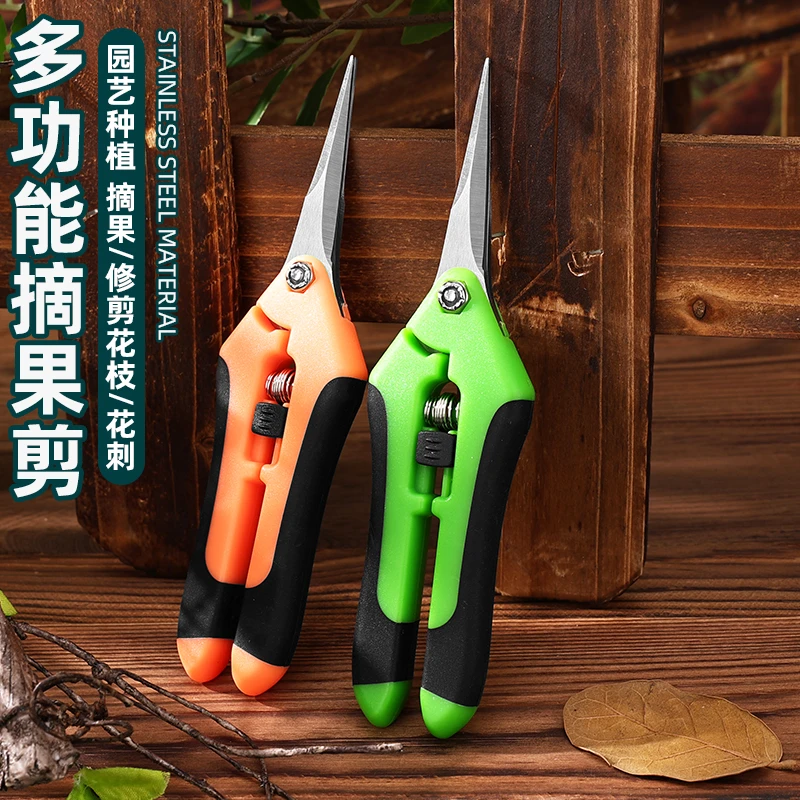 2024果农采摘尖头不锈钢采果剪稀果剪葡萄剪修花修枝剪花椒采摘果