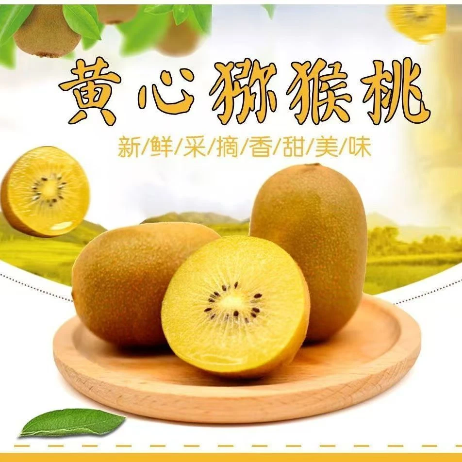 黄心猕猴桃新鲜奇异果当季水果香甜多汁黄心金果