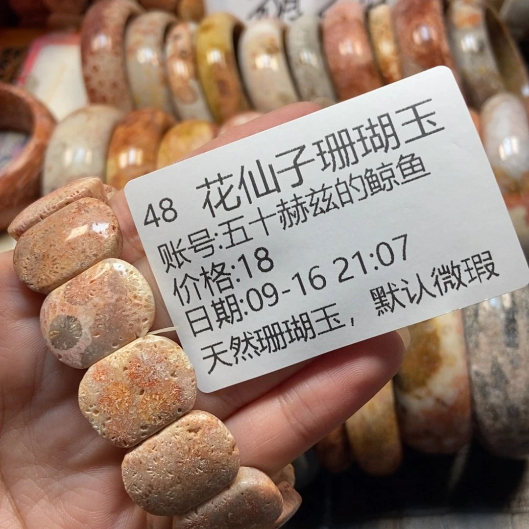 五***鱼未镶嵌硅化珊瑚（珊瑚玉）珠宝半成品48