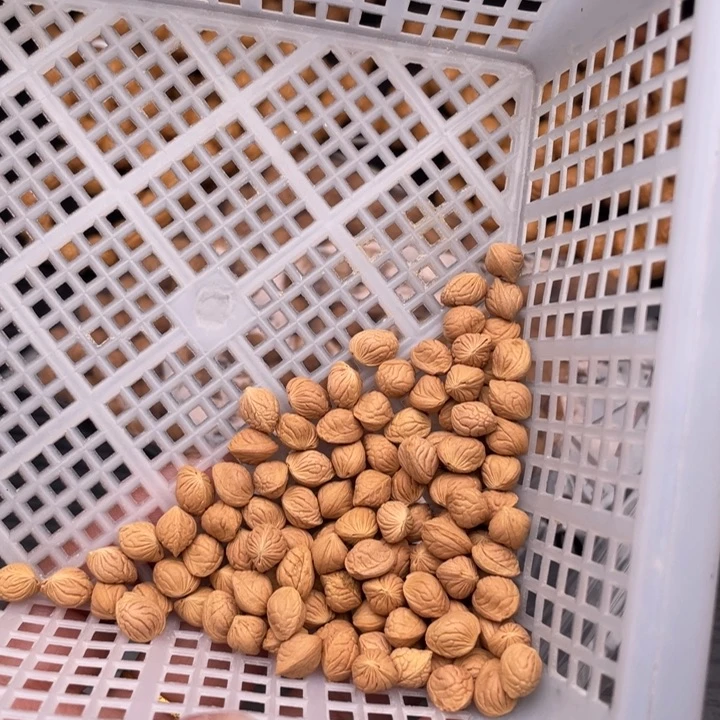 心***家树脂制品私人定制175元打孔不退不换