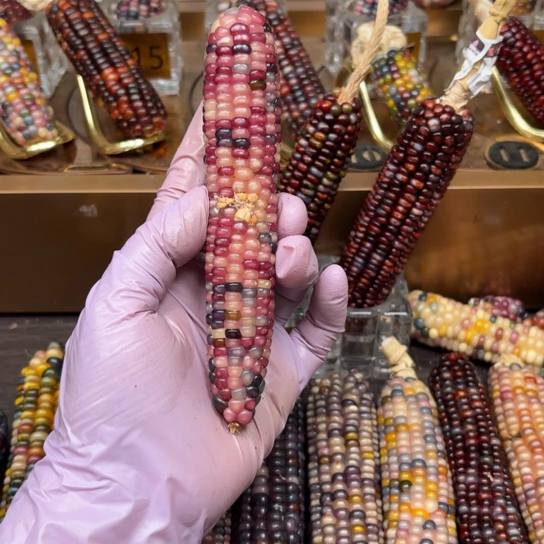 柏香籽/百香籽吊坠M**y