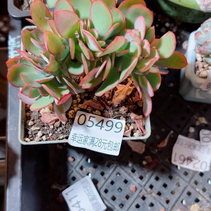 幸运的是我还没遇到过