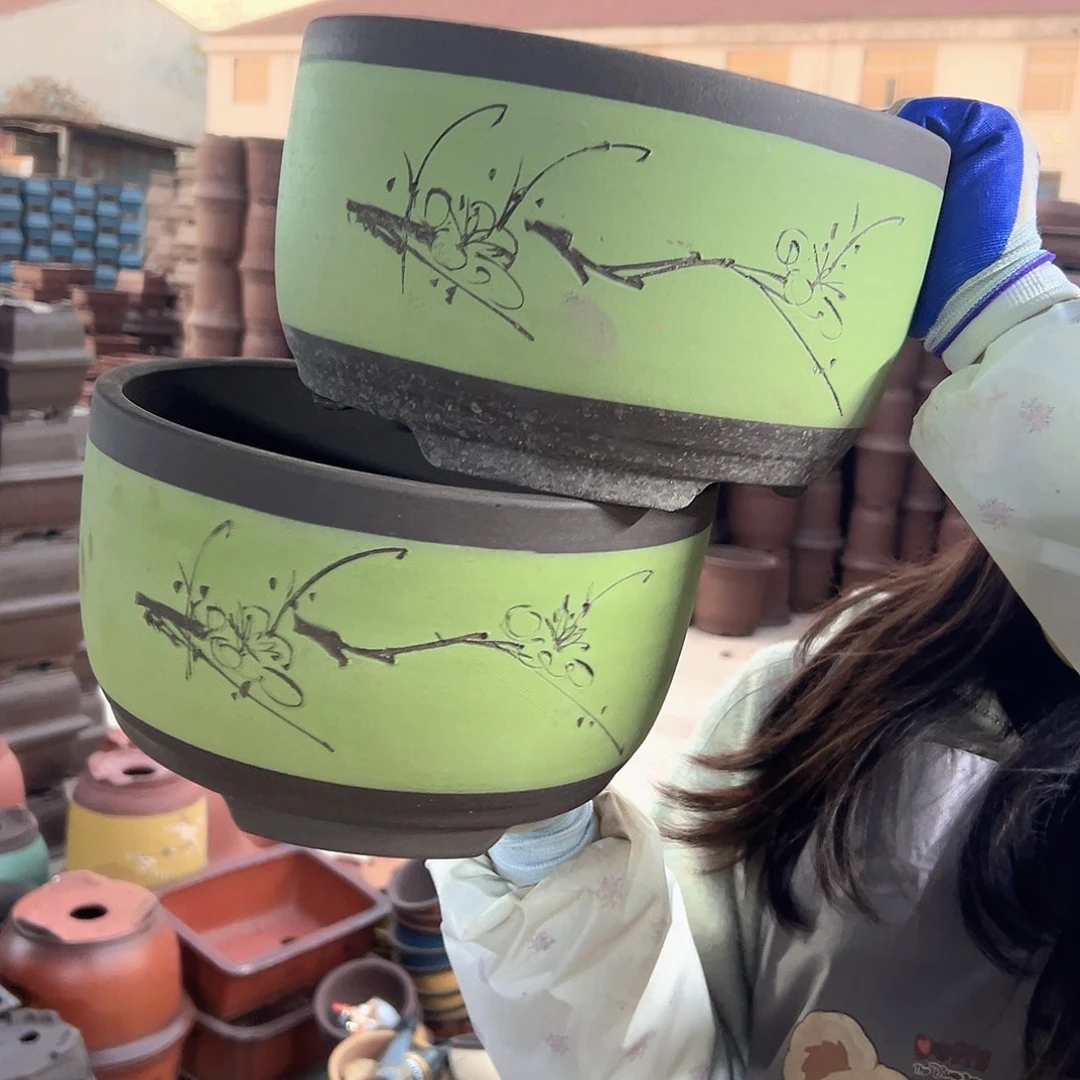 25+25苹果绿萝花盆花盆花盆