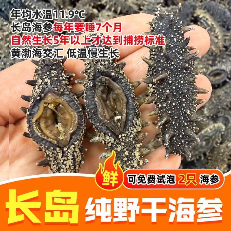 海参长岛海参(活参鲜烤)深海无污染四排刺顶刺250g起滋补有营养