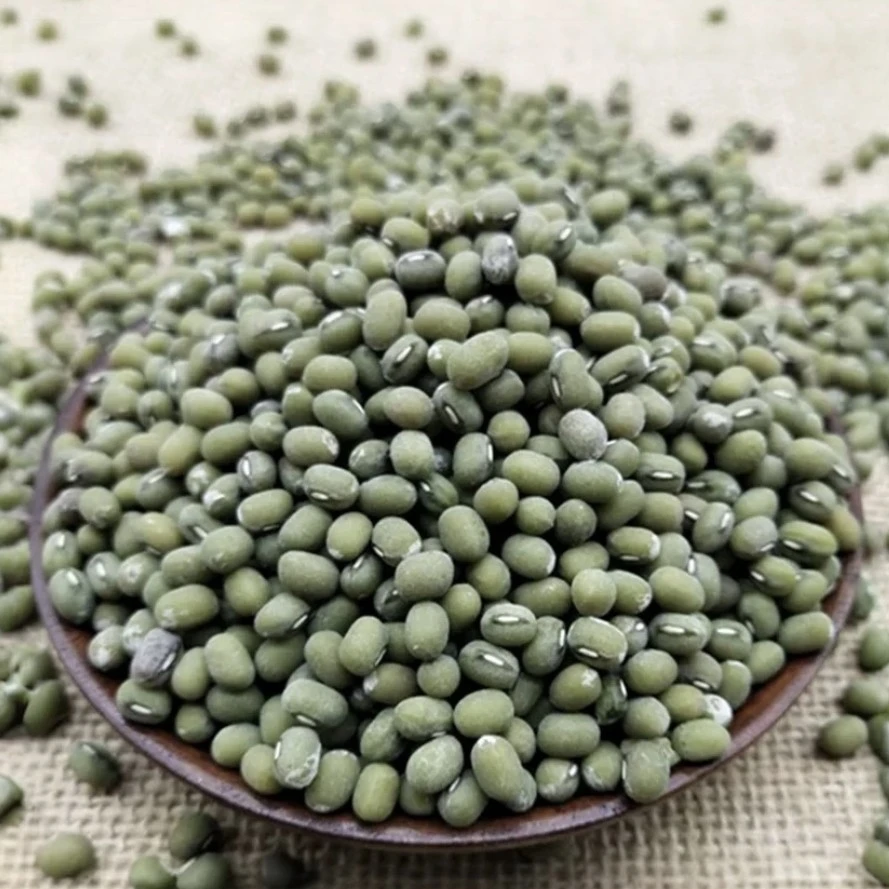 （绿豆）湘西本地老品种