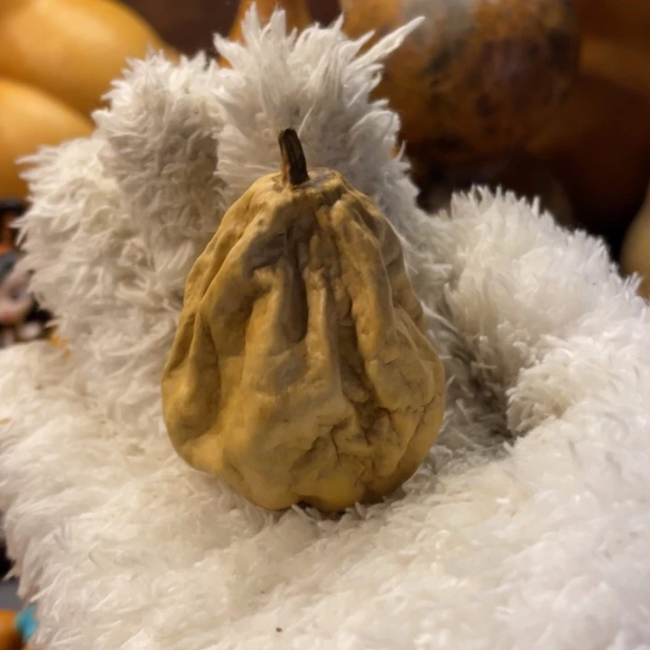 看好下单理性消费