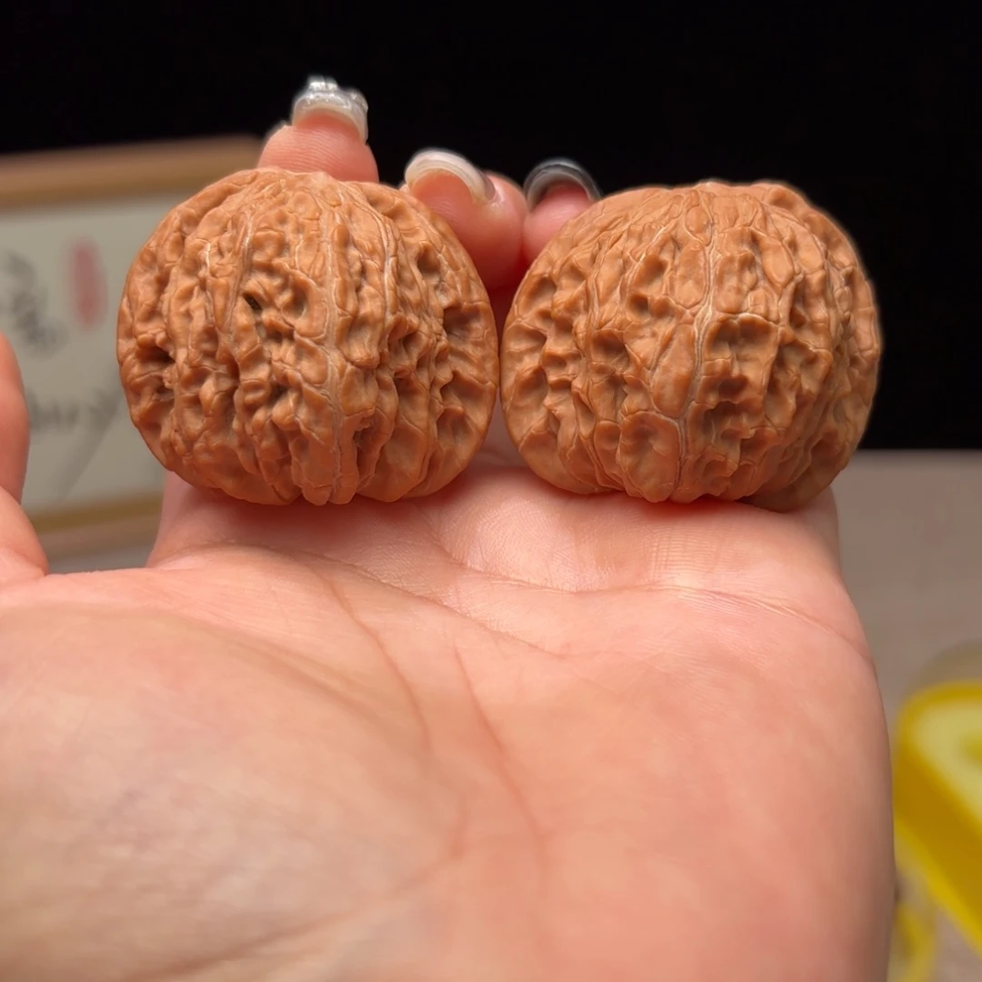 等**灯42 全品无修山地红皮磨盘狮子头