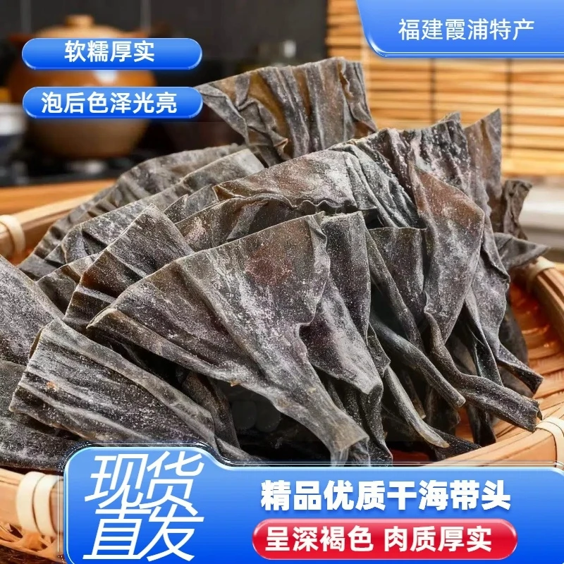 福建霞浦厚实干海带头8-13CM日晒海带干货厚实免洗晒干