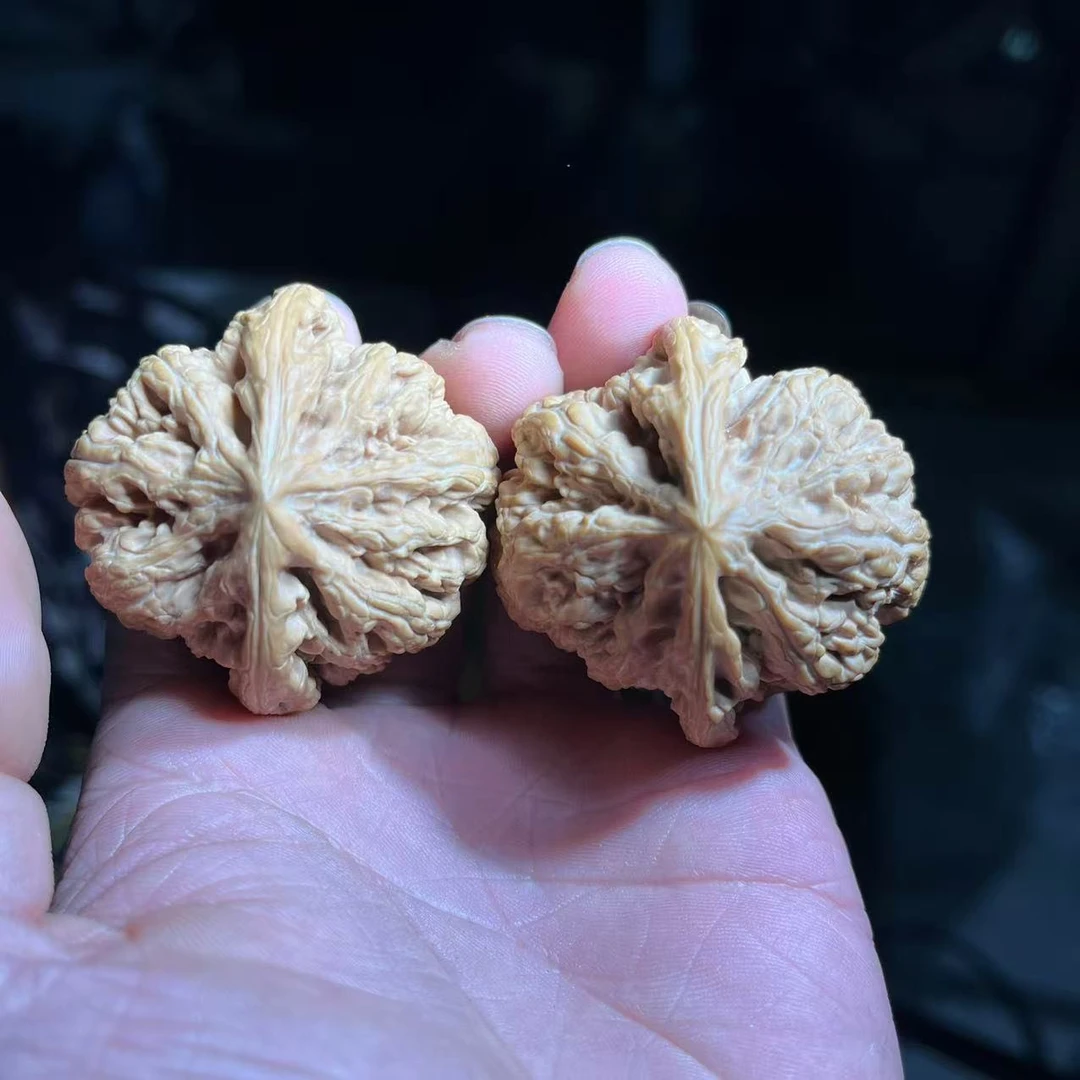 麻核桃把件干刷打底平谷大粗筋 八筋聚顶 尺寸可选