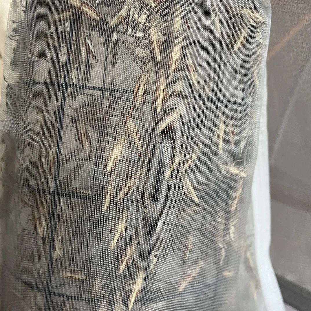 云南鸟食公花腿专用鸟食提性促火