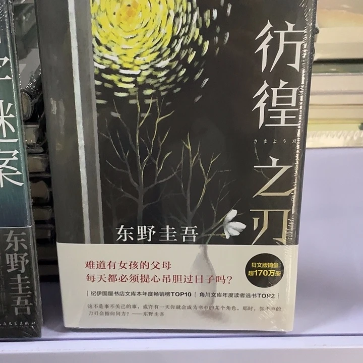 彷徨之刃    精装带塑封