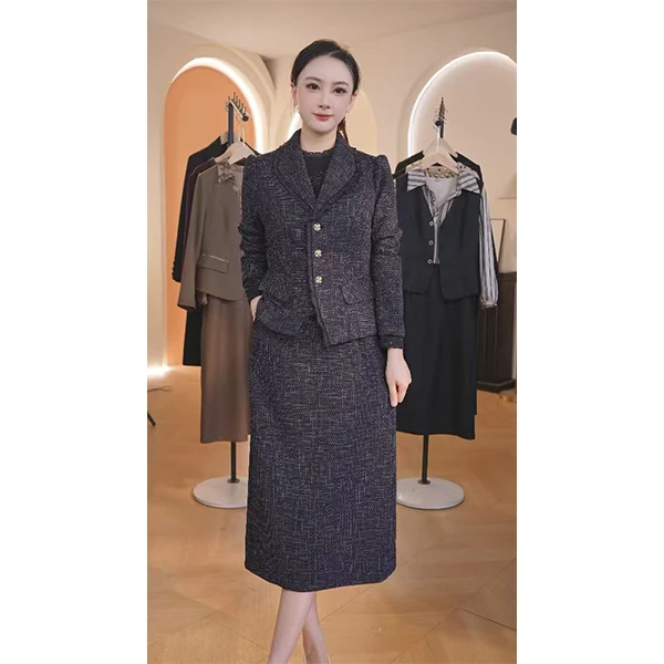 L9717 2025年秋季新款知性风时尚气质收腰显瘦中长款连衣裙+外套