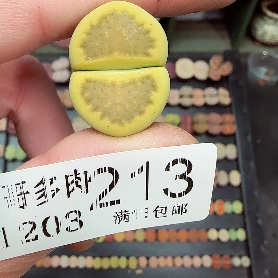 过***天满满18包邮1203-213