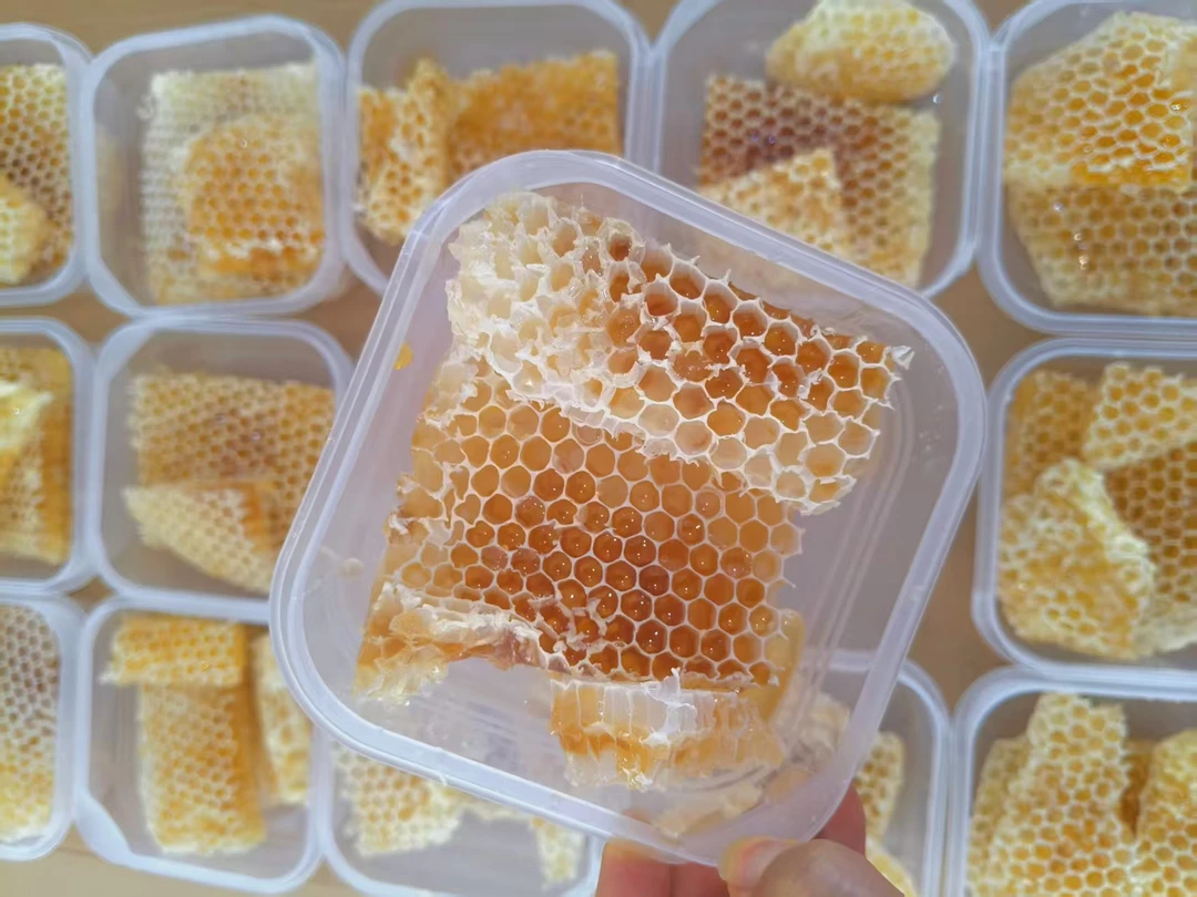 自家原生态养蜂用全干巢胚蜂巢脾和老巢