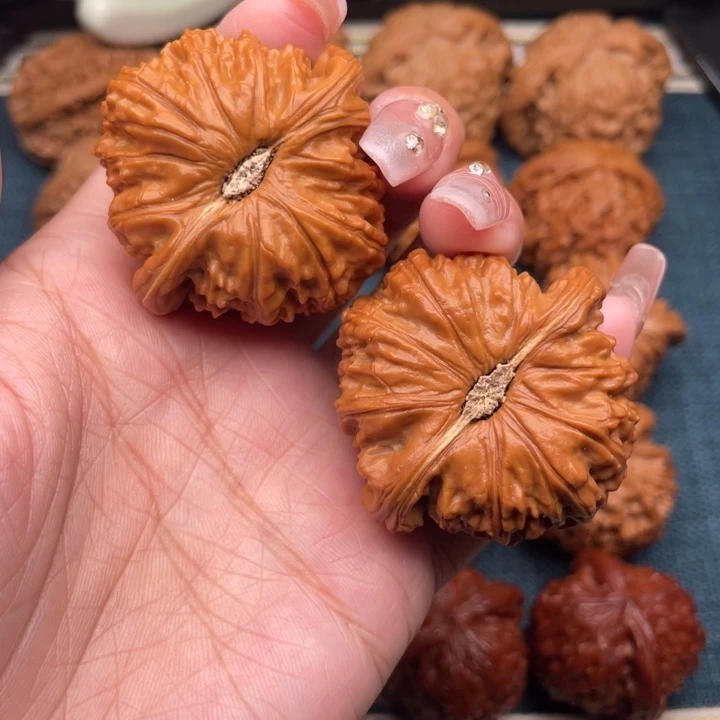 把件文玩核桃45红皮大肚白狮子。