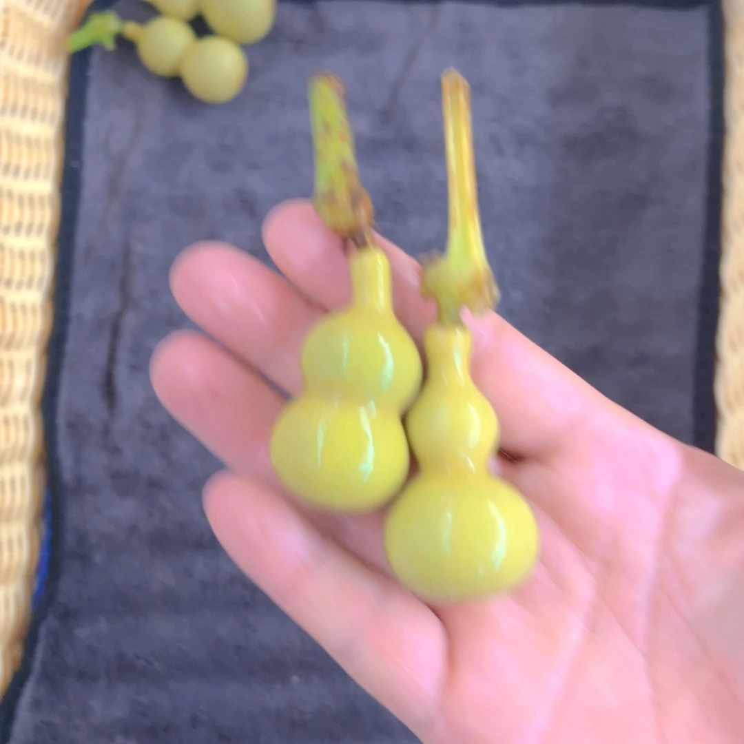 红***Z天津嘴儿葫芦葫芦了