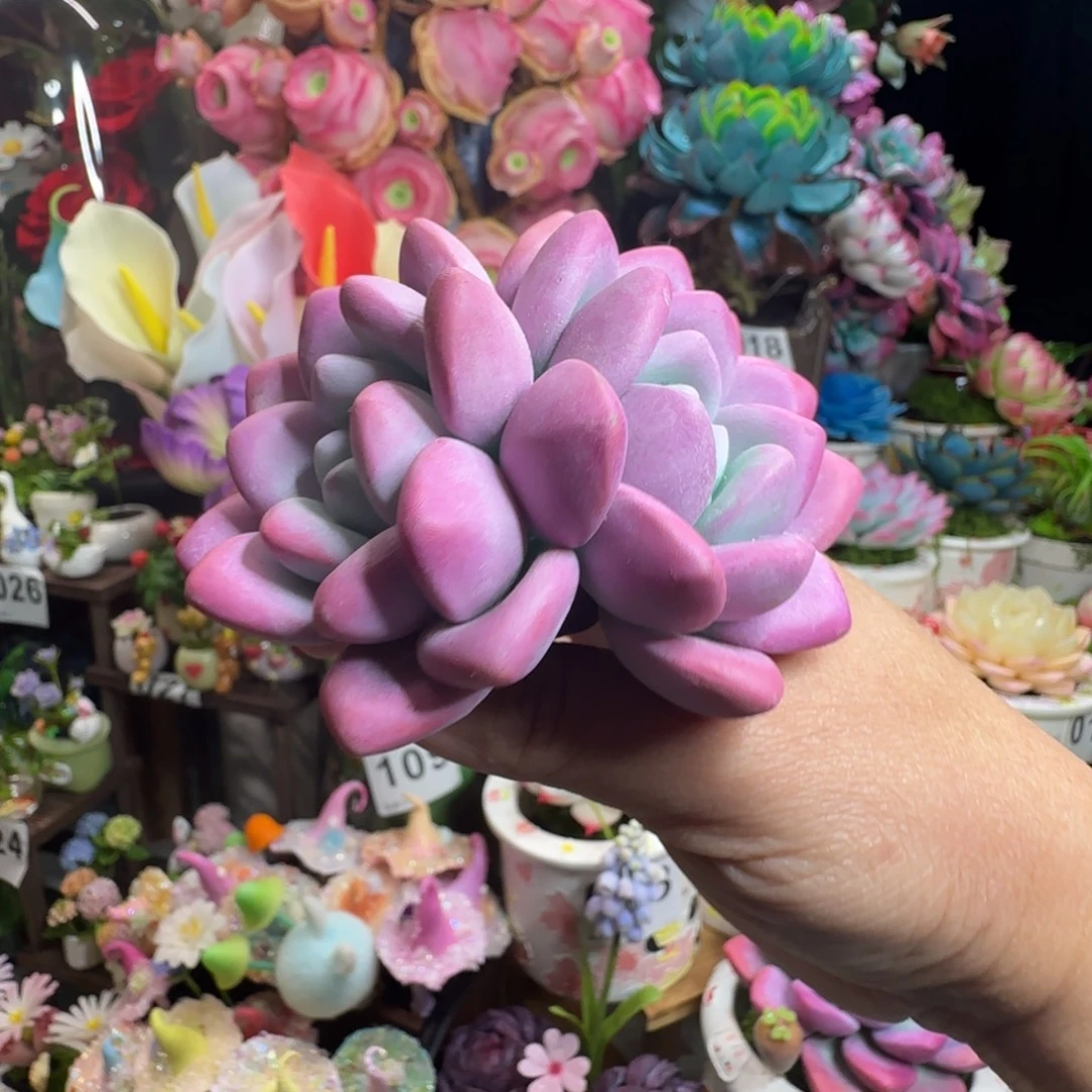 手工制作奥普琳娜双头不带盆