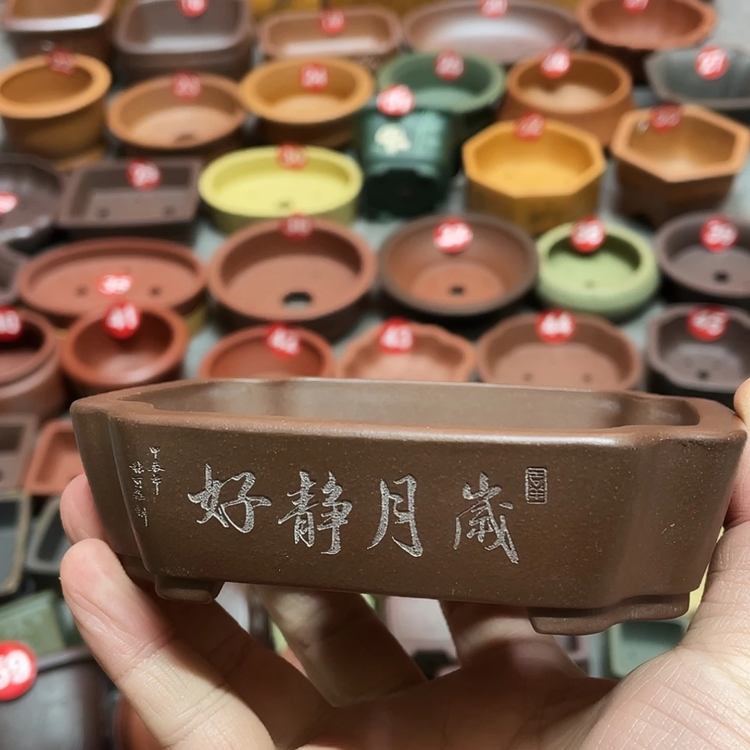 紫砂小盆10.5+9.5*2.5微瑕