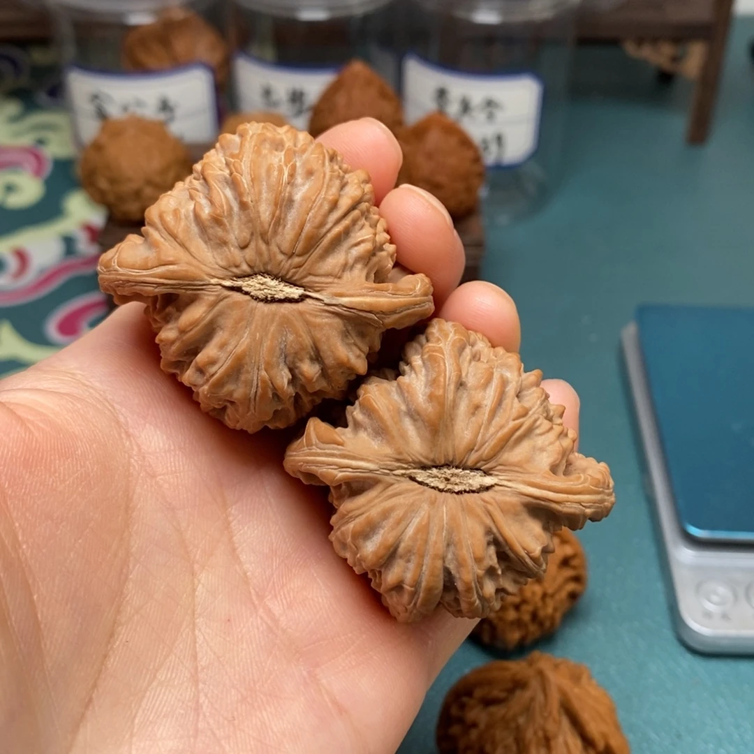核桃46尺全品白狮子