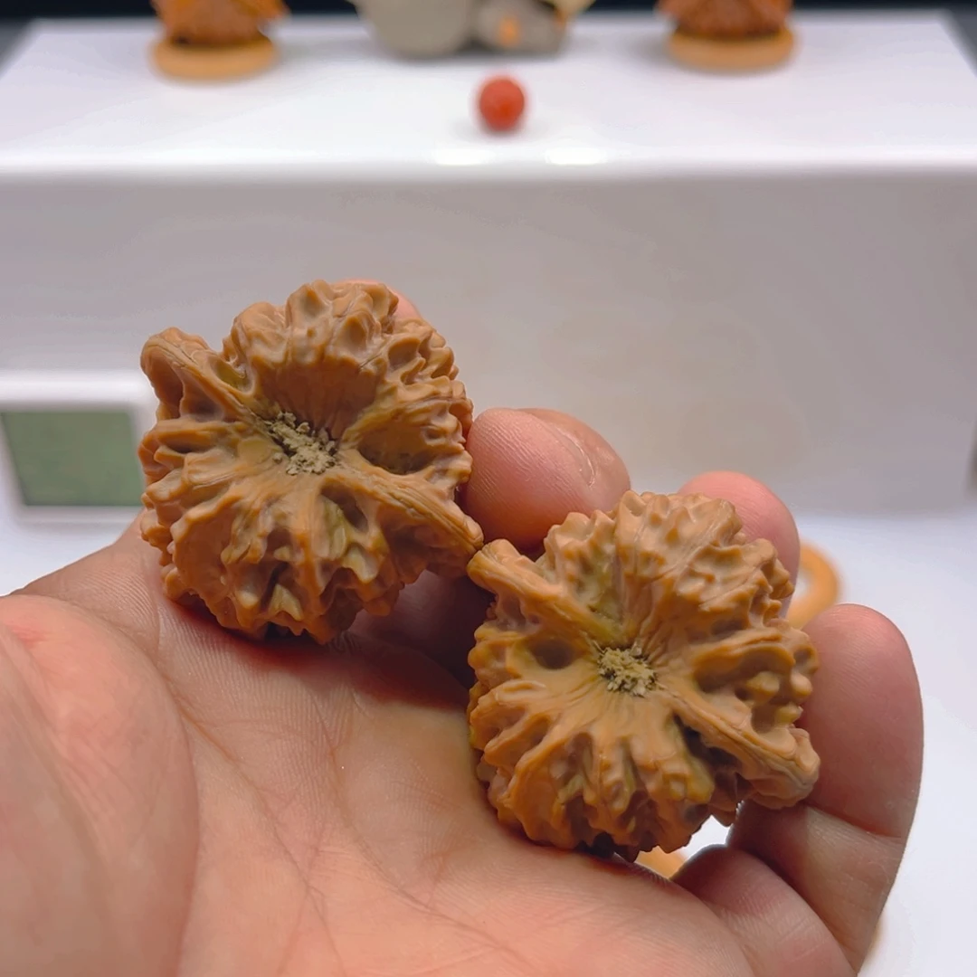 把件文玩核桃42+mm全品头货龙门涧（毕业级）