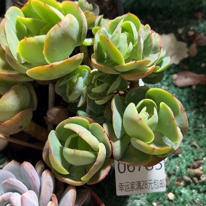 幸运的是我还没遇到过