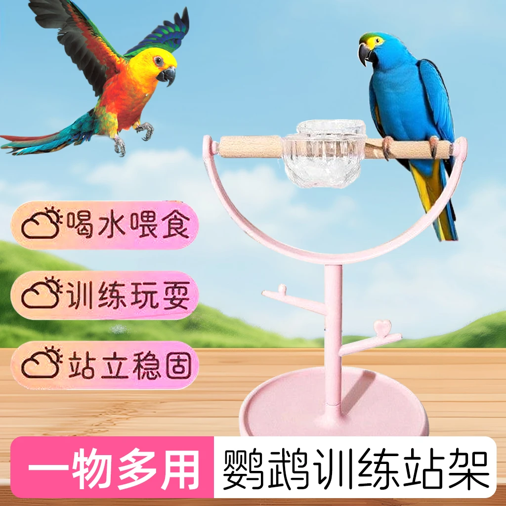 宠大条鹦鹉站架桌面互动训练鸟架子玩具站杆站台松木鸟站架JGX