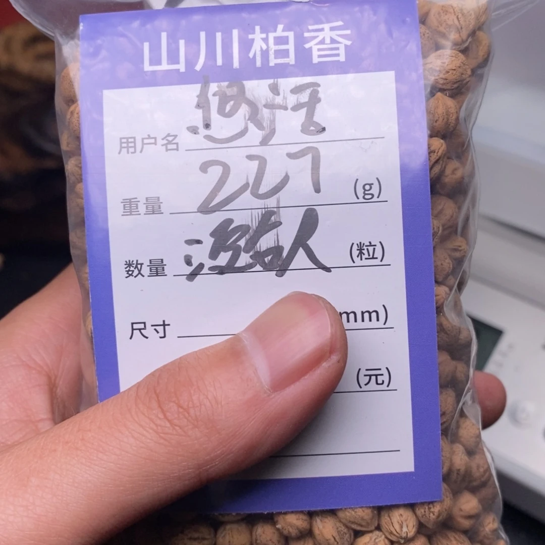 柏香籽/百香籽吊坠悠*