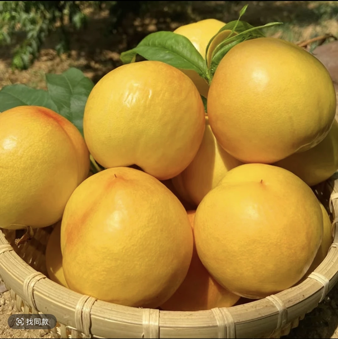 [书记专享链接]正宗蒙阴黄油桃产地直发
