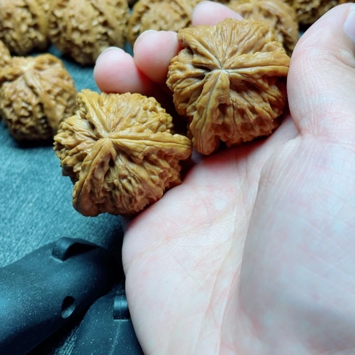 用***6手工三棱白狮子三棱