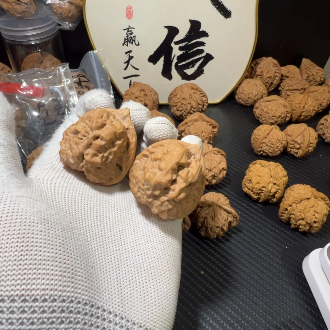 核桃三角蛙箭毒蛙