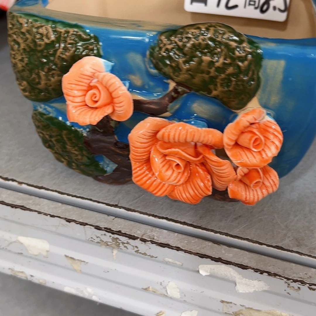 【闪购商品】红陶福利