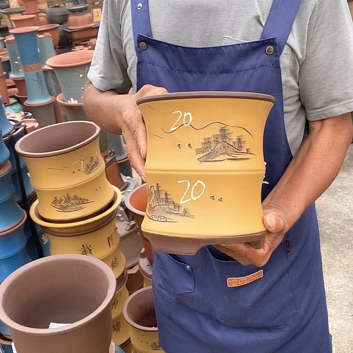 紫砂花盆紫砂花盆盆栽植物