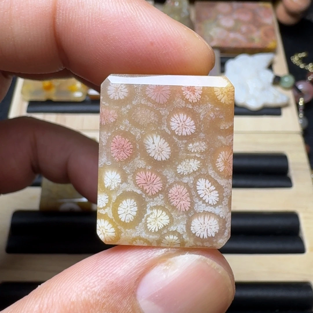 硅化玉未镶嵌纯天然色有机玉石保真色