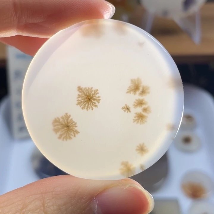 玛瑙/玉髓未镶嵌牌子