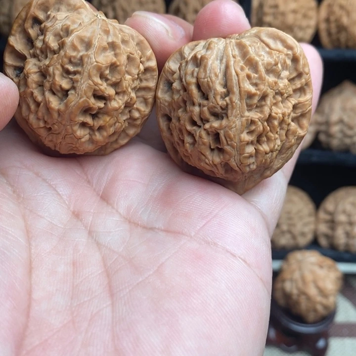 全品水龙纹40尺寸