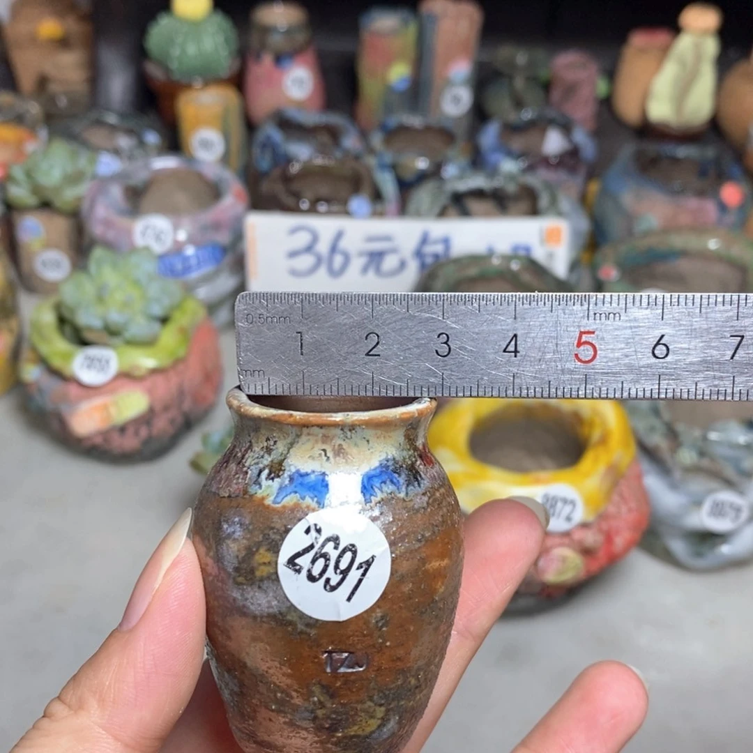 拍5送一个小礼物