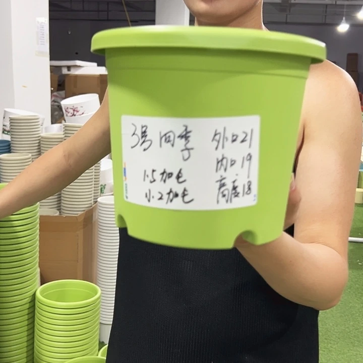 特价3号口21高18果绿色10只无托