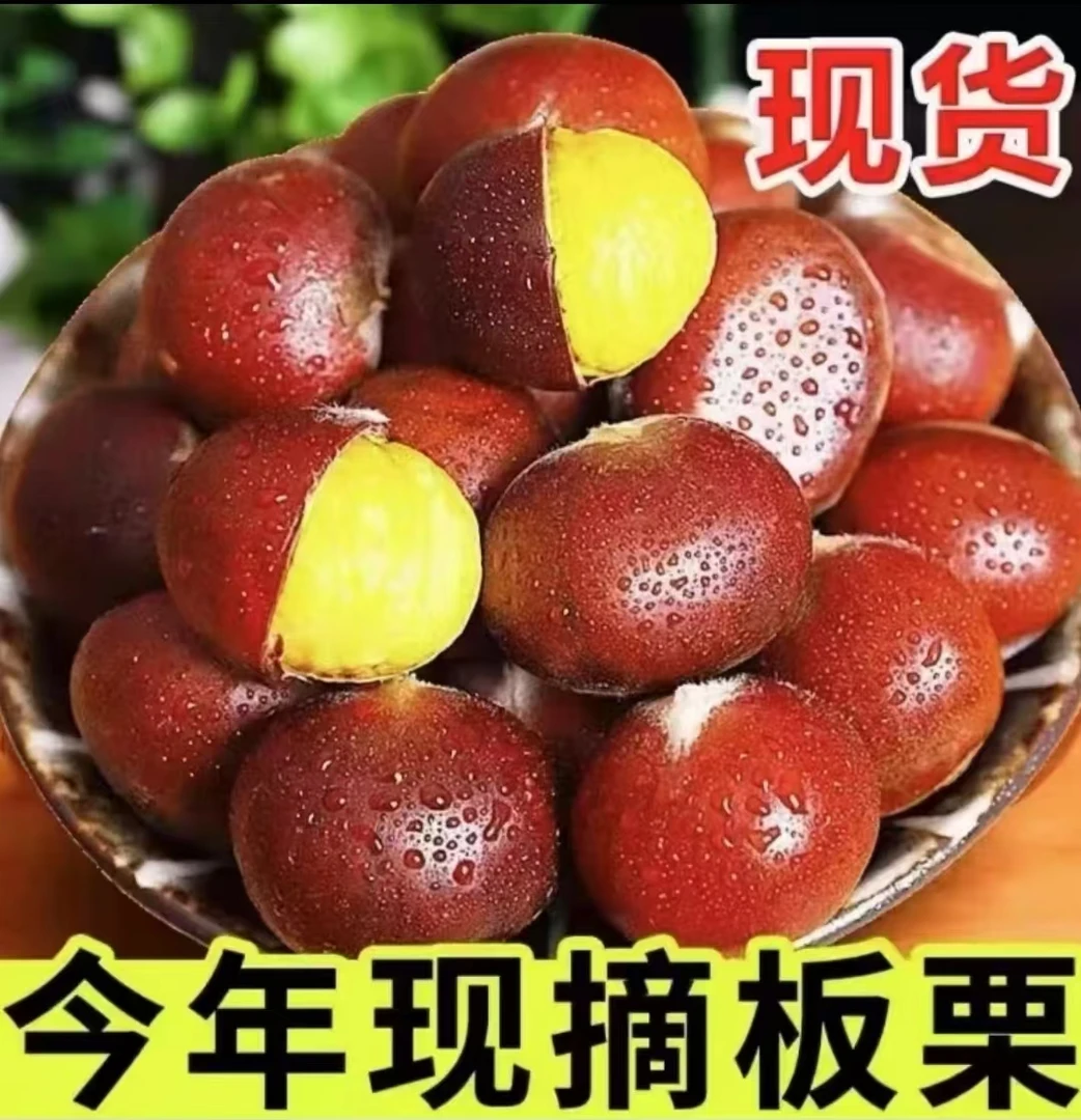 新鲜现摘高山板栗甘甜清脆丨生栗子大板栗丨
